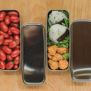 dsk.pig Stainless steel lunch box with two types of lids RD x PI