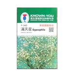 【向花緣】農友 滿天星 - 花卉種子, , large