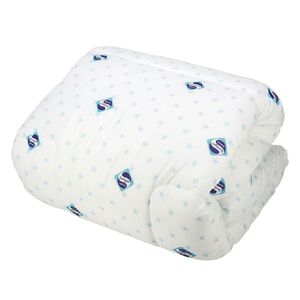 亞迪思防蹣抗菌四孔被-雙人