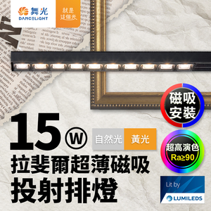 DanceLight舞光 拉斐爾超薄磁吸投射排燈 15W排燈 投射燈(黃光/自然光)