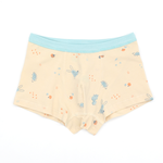 minihope Boys underwear, , large