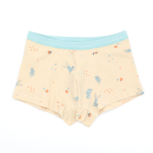 minihope Boys underwear