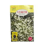 Skystar Large Flower Baby&rsquo;s Breath &ndash; Flower Seeds, , large