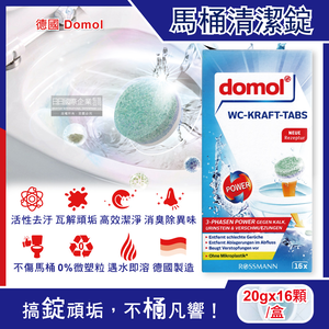 Domol Toilet Cleaning 16pcs