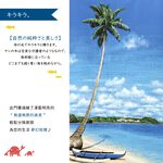 日本製【コスモ】長門簾《棕櫚海灘》, , large