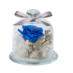 Preserved Flower, , large