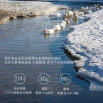 Hilton pale yellow down comforter for winter, 180*220CM, , large