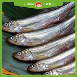 【一起買】單凍柳葉魚 / 300g, , large