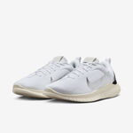 Nike W Flex Experience RN 12 女 慢跑鞋 運動 路跑 輕盈 白銀 [DV0746-101], , large