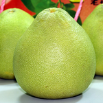 【一等鮮】麻豆文旦禮盒1盒〈9~12粒/10斤/盒〉(免運費), , large