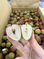 Taiwan Yuhebao Lychee, , large
