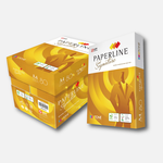PAPERLINE金牌 80磅 80P 彩色鐳射影印多功能 A4 影印紙 10包 /箱, , large