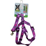 PET-22, , large