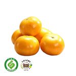 石虎履歷茂谷柑/900G/袋, , large