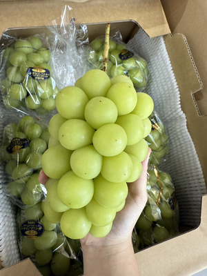 [芯鮮果]日本岡山縣 ( 晴王麝香葡萄 )