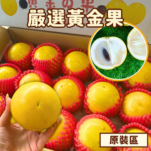 Tamarillo (Golden Fruit)