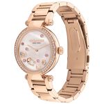COACH CARY系列流轉水晶女錶-34mm CO14504266, , large