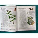 《南門書局》中國中草藥圖典 2冊~~中藥草藥, , large