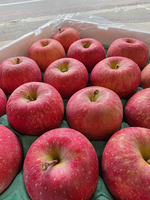 Aomori Honey Fuji Apple, , large