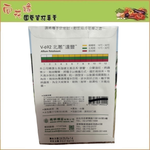 Skystar Bunch Onion &ndash; Vegetable Seeds, , large