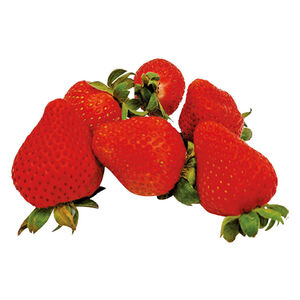 空運盒裝草莓 (每盒約454克)