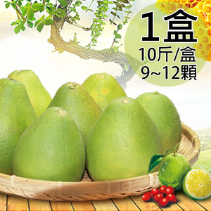【一等鮮】麻豆文旦禮盒1盒〈9~12粒/10斤/盒〉(免運費)