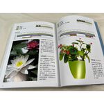 《南門書局》新手陽台種花+種菜+從菜場到餐桌, , large