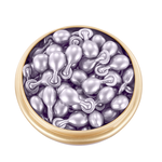 【Bl&eacute; de Fonty 楓緹】御澤日間保濕膠囊精華 0.33ml*28入, , large