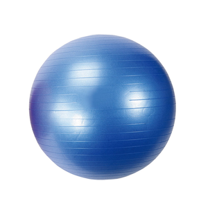 65cm Exercise ball