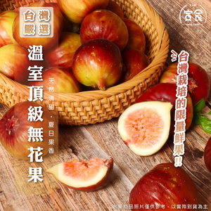 FIG