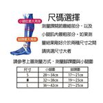 [秉宸] Loopal 平價品牌 專業 運動腿套 壓縮腿套 黑色 【超低體驗價】推廣中, , large