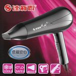 JINKON Professional Hair Dryer TS-2100K, , large