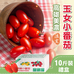[Homebuy.com Selected] Kaohsiung Meinong Greenhouse Cherry Tomatoes, , large