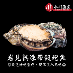Cooked Frozen Abalone with Shell