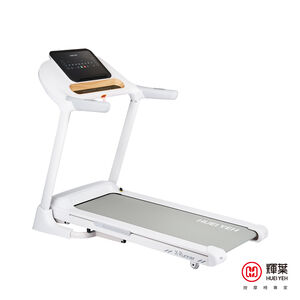 ELECTRIC TREADMILL