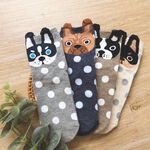 [Kaimei Cotton] Six pairs of random pairs of excellent pure cotton straight girls' socks, cute dog style, , large