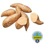 CQL yellow sweet potatoes, , large