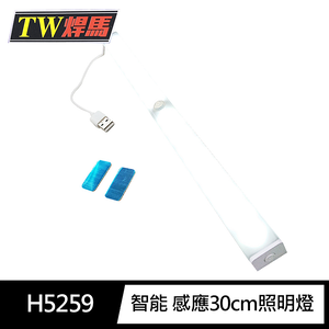 [寶旺旺]TW焊馬 LED智能 人體 感應 開關 充電式30cm照明燈 CY-H5259