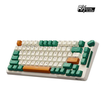 [樂維科技]RK H81 75% 藍牙三模無線機械鍵盤 K黃軸 RGB 時光機｜中文, , large