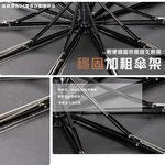 morandi-auto-windproof-umbrella, , large