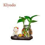 Hydroponics decoration, , large