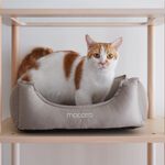【paipaipets】Latex Pet Bed with cotton sheets - Elephant Gray, , large