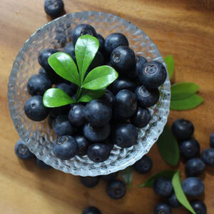 【樂果~一起買水果】美國新鮮有機藍莓 原裝箱(每箱12小盒)※預購，出貨日期為七月上旬