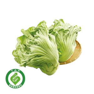 履歷長年芥菜700g