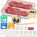 Aluminum alloy quick thawing tray (L), , large
