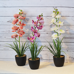 ARTIFICIAL ORCHID PLANT W/BLACK POT-PURPLE, , large