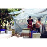 [皇廷] Longan honey 1800g, , large