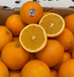 Navel Orange, , large