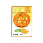 日本Kaneka和歌山柑橘乳酸菌軟糖, , large