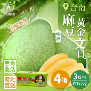 【Home Shopping Network Strictly Selected】Tainan Madou Premium Golden Pomelo 3-piece Small Gift Box x 4 Boxes (1800g/Box)